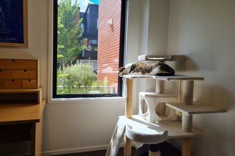 Photo of property in 9/216 Tristram Street, Hamilton Central, Hamilton, 3204