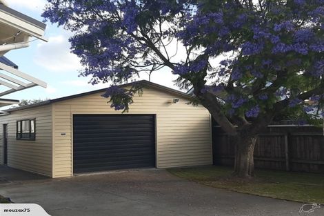 Photo of property in 19a Jull Street, Napier South, Napier, 4110