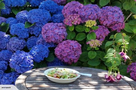 Photo of property in 50 Rocking Horse Road, Southshore, Christchurch, 8062