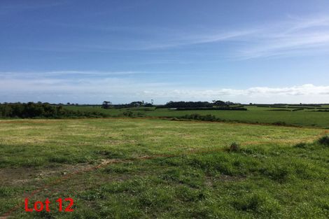 Photo of property in 6 Larlin Heights, Hawera, 4675