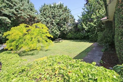 Photo of property in 52 Ellicott Road, Nawton, Hamilton, 3200