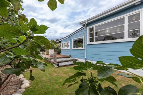 Photo of property in 1003 Main South Road, Camerons, Greymouth, 7805