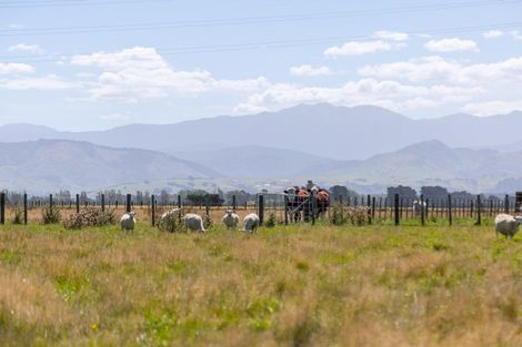 Photo of property in 445 Perrys Road, East Taratahi, Carterton, 5887