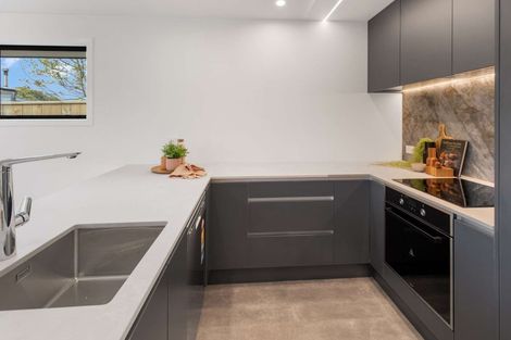 Photo of property in 19a Dudley Street, Levin, 5510