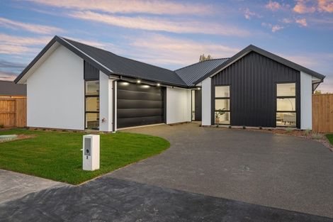 Photo of property in 7 Mills Road, Marshland, Christchurch, 8051