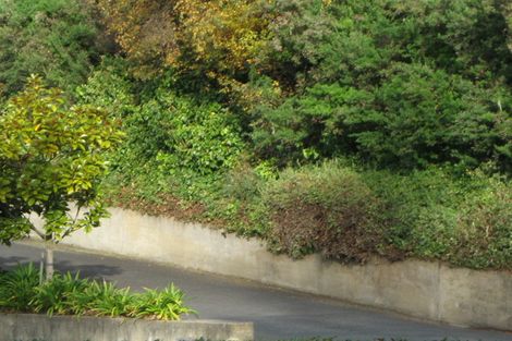 Photo of property in 367a Stuart Street, Roslyn, Dunedin, 9010