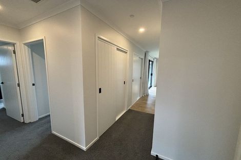 Photo of property in 11 Tabernacle Street, Karaka, 2124