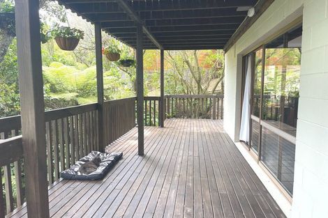 Photo of property in 115 Stredwick Drive, Torbay, Auckland, 0630
