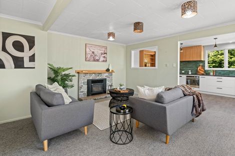 Photo of property in 33 Daniell Street, Solway, Masterton, 5810