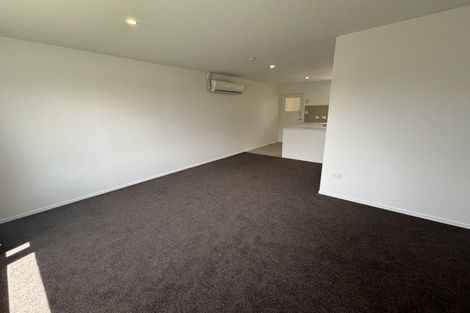 Photo of property in 55 Windsor Street, Terrace End, Palmerston North, 4410