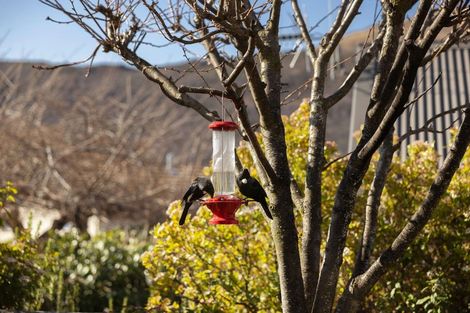 Photo of property in 84 Cotter Avenue, Arrowtown, 9302