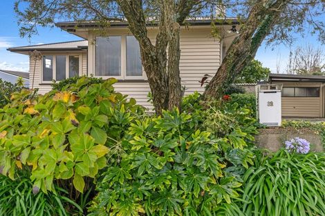 Photo of property in 32 Woodford Avenue, Brookfield, Tauranga, 3110
