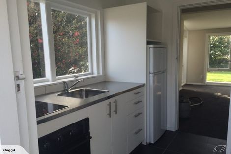 Photo of property in 594 Barbadoes Street, Edgeware, Christchurch, 8013