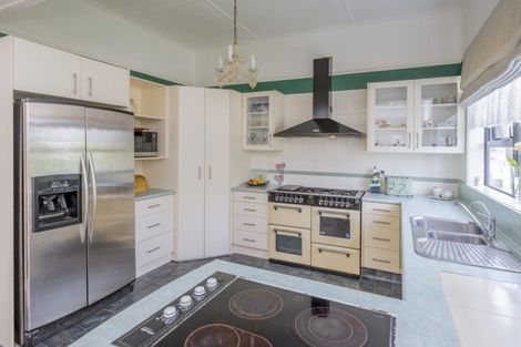 Photo of property in 6 William Street, Levin, 5510