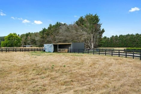 Photo of property in 1659 Cambridge Road, Cambridge, Hamilton, 3283