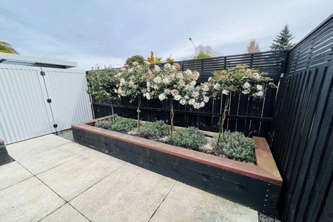 Photo of property in 1/86 Springfield Road, St Albans, Christchurch, 8014