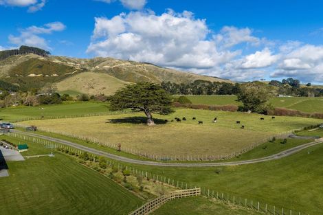 Photo of property in 383 Wallace Road, Koputaroa, 5571