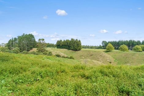 Photo of property in 288 Oropi Gorge Road, Oropi, Tauranga, 3173