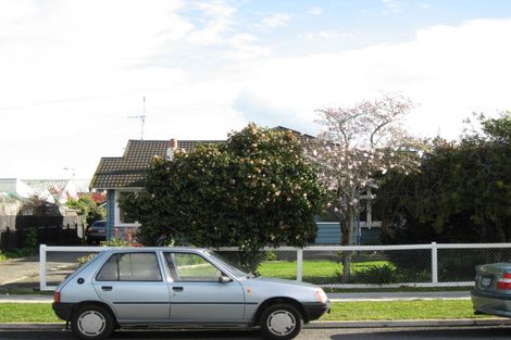 Photo of property in 115 Charlotte Crescent, Mayfair, Hastings, 4122