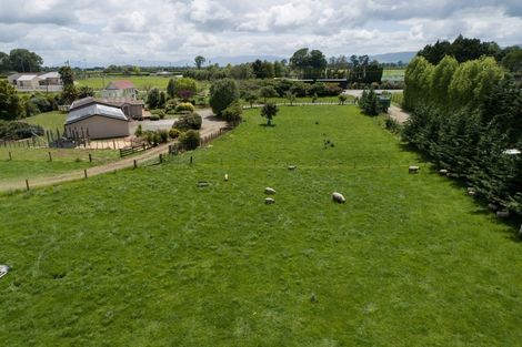 Photo of property in 4833 State Highway 29, Matamata, 3472
