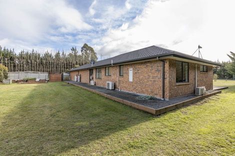 Photo of property in 909 Downs Road, Eyrewell, Rangiora, 7476