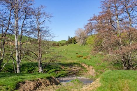 Photo of property in 739 Matahiwi Road, Matahiwi, Masterton, 5888