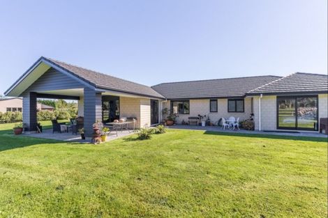 Photo of property in 398a Tararua Road, Levin, 5571