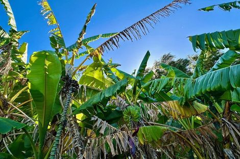 Photo of property in 3 Granny Tarr Street, Makaraka, Gisborne, 4010