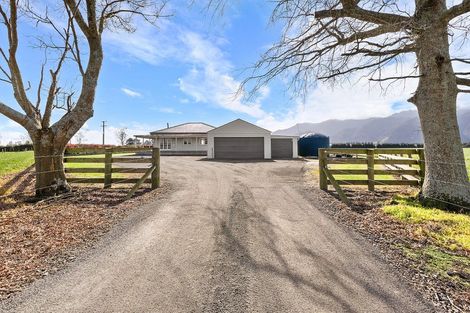 Photo of property in 446 Maiseys Road, Waharoa, Matamata, 3471