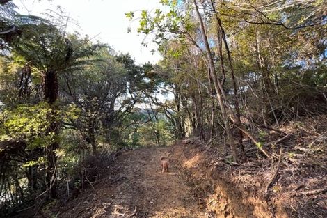 Photo of property in 211 Krippner Road, Puhoi, Warkworth, 0994