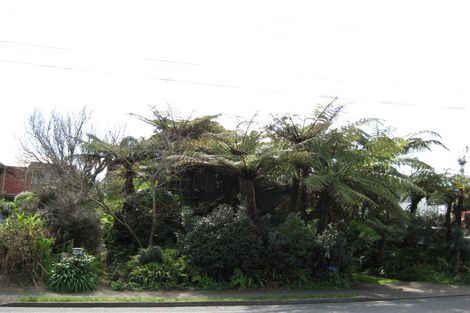 Photo of property in 45 Mclean Street, Strandon, New Plymouth, 4312