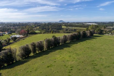 Photo of property in 198b Snodgrass Road, Te Puna, Whakamarama, 3174