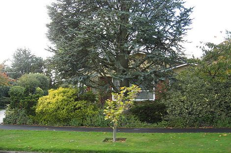 Photo of property in 22 Gothic Place, Ilam, Christchurch, 8041