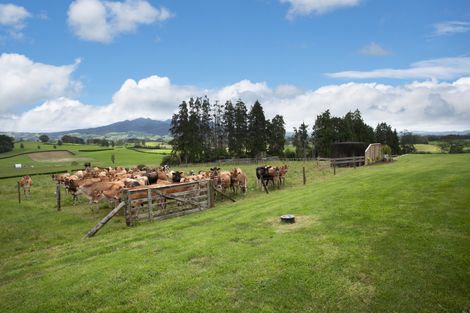 Photo of property in 109 Anderson Road, Ngahinapouri, Te Awamutu, 3876