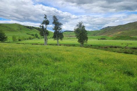 Photo of property in 201 Pond Road, Raglan, 3295