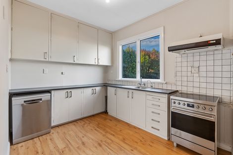 Photo of property in 41 Glenpark Avenue, Mornington, Dunedin, 9011