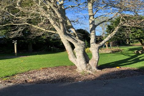 Photo of property in 16 Oxford Street, Tirau, 3410