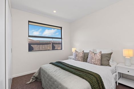 Photo of property in 119 Jimmy Adams Terrace, Lincoln, 7608