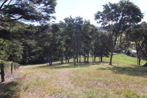 Photo of property in 1216 Whangapoua Sh25 Road, Te Rerenga, Coromandel, 3582