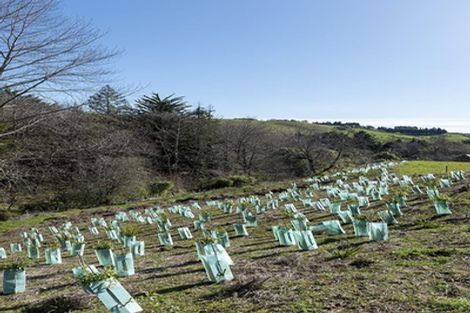 Photo of property in 90 Sunningdale Drive, Stoke, Nelson, 7011