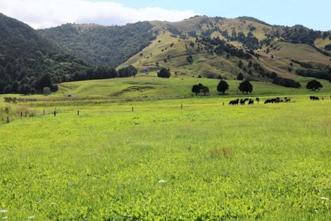 Photo of property in 1008 Tangowahine Valley Road, Tangowahine, Dargaville, 0372