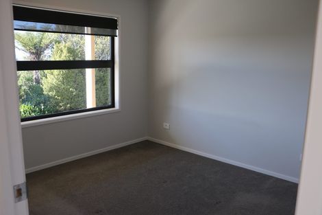 Photo of property in 649a Esdaile Road, Whakamarama, Tauranga, 3180