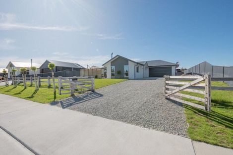 Photo of property in 48 Larch Crescent, Alexandra, 9320