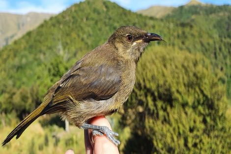 Photo of property in 439 Engelbrechts Road, Hunter, Waimate, 7978