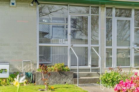 Photo of property in 12 Chesney Street, Avalon, Lower Hutt, 5011