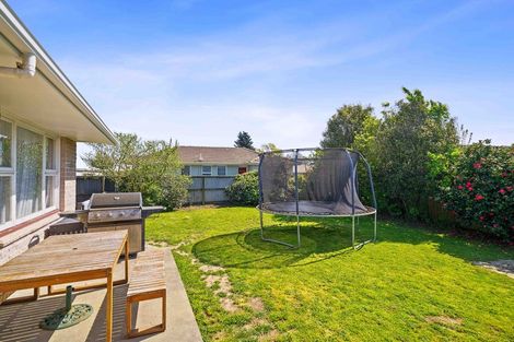 Photo of property in 8 Whelan Place, Hei Hei, Christchurch, 8042