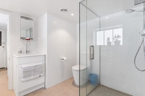 Photo of property in 15 Pompallier Terrace, Ponsonby, Auckland, 1011
