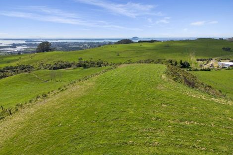 Photo of property in 596a Minden Road, Minden, Tauranga, 3176