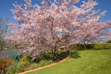 Photo of property in 15 Josephine Place, Te Kauwhata, 3782