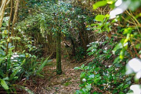 Photo of property in 317 Kerikeri Inlet, Kerikeri, 0230